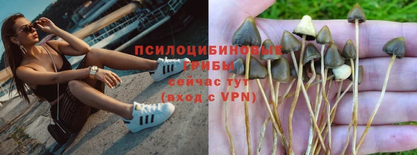 дмт Алзамай